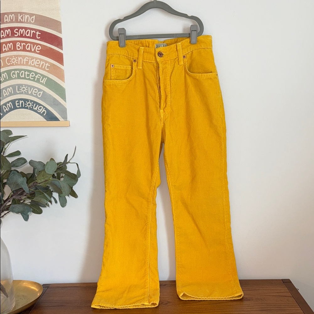 VGUC HEY GANG The Corduroy Flare Cropped Pants in Size 24